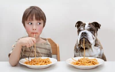 Boy and bulldog eating spaghetti at table