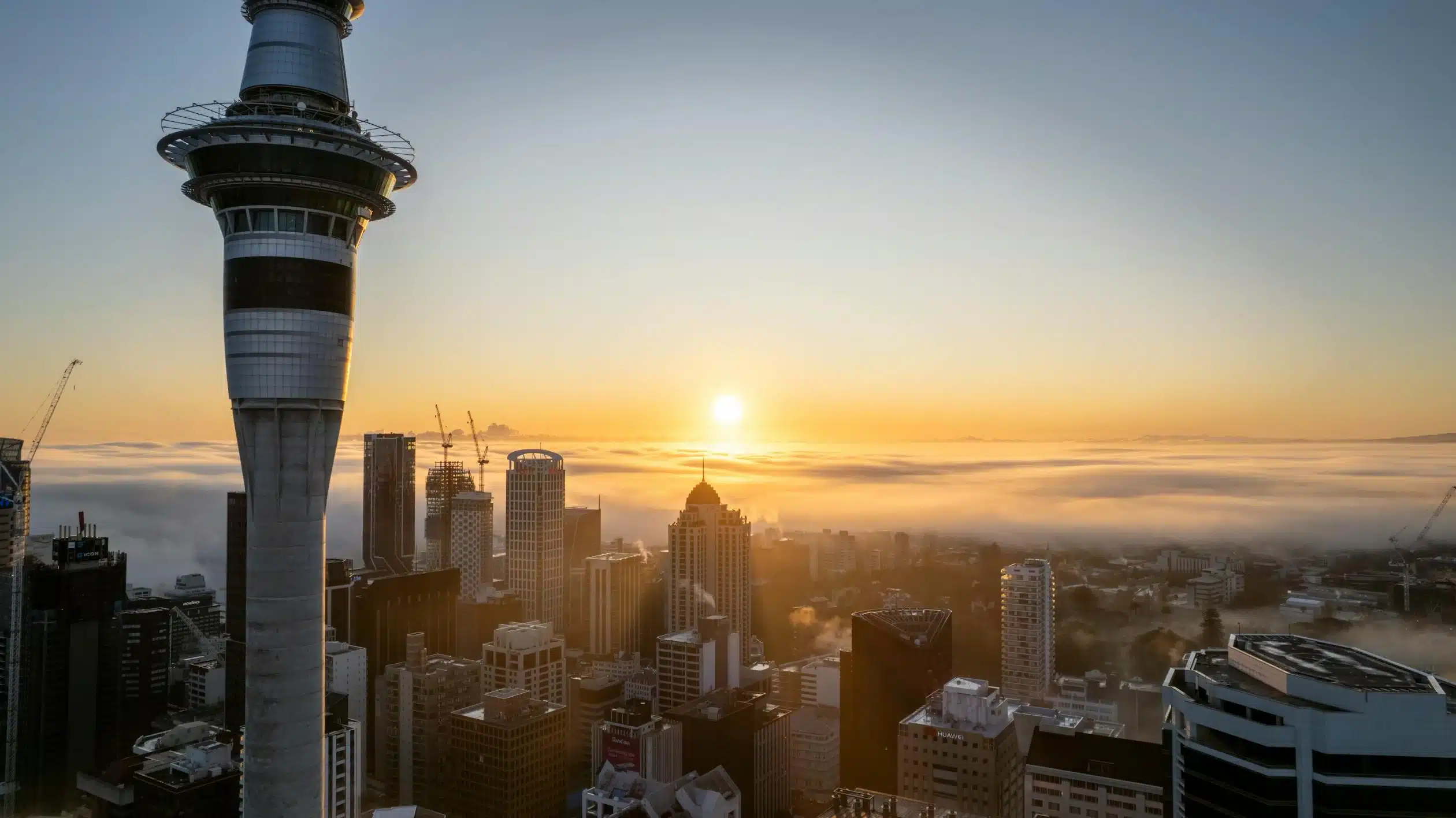 Auckland skyline at sunrise with the Sky Tower rising above low cloud, seen from above
