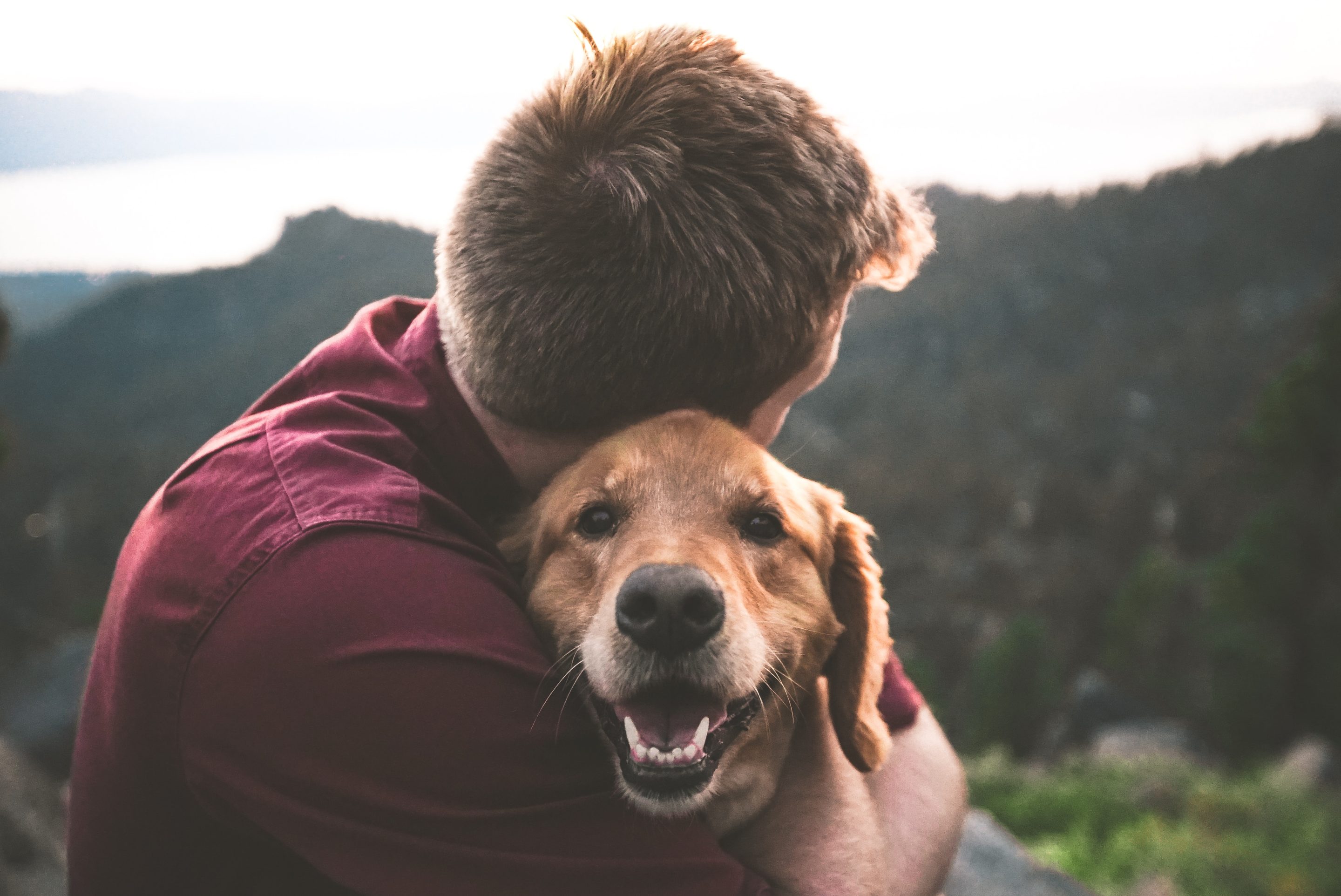Man hugging golden retriever on mountain