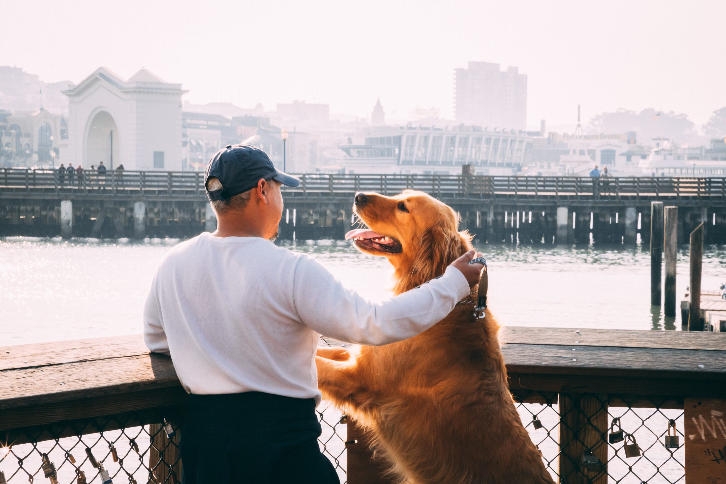 Man petting golden retriever on pier