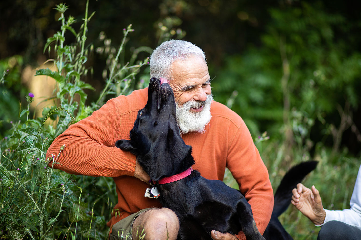 A grey-bearded older man in an orange sweater smiles as a black dog with a red collar leans up to nuzzle his face outdoors
