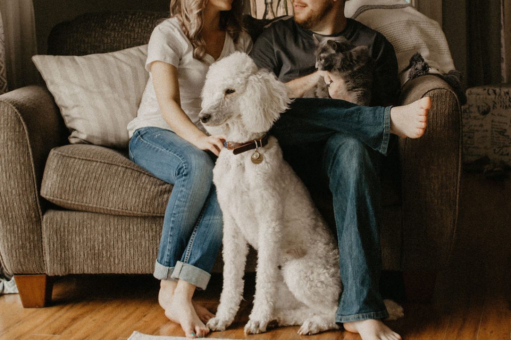 Two people sit on a sofa, one stroking a white poodle and the other holding a cat