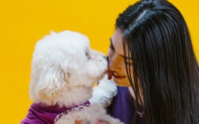 Photo of a Woman Playing with a White Dog