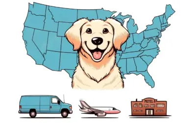 large dog usa domestic shipping cost
