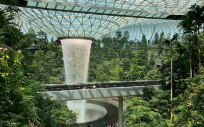 singapore indoor garden