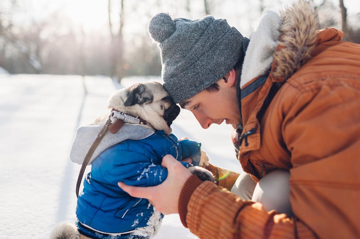A person in a knit hat and winter coat carrying a pug in a blue jacket through the snow