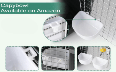 capybowl available on amazon