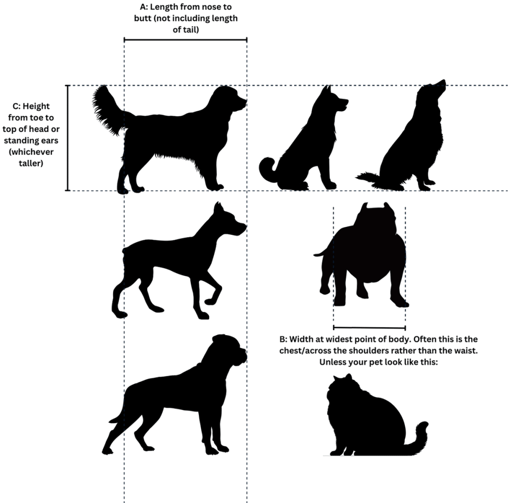 Diagram showing how to measure a dog’s length, height and width for a travel crate