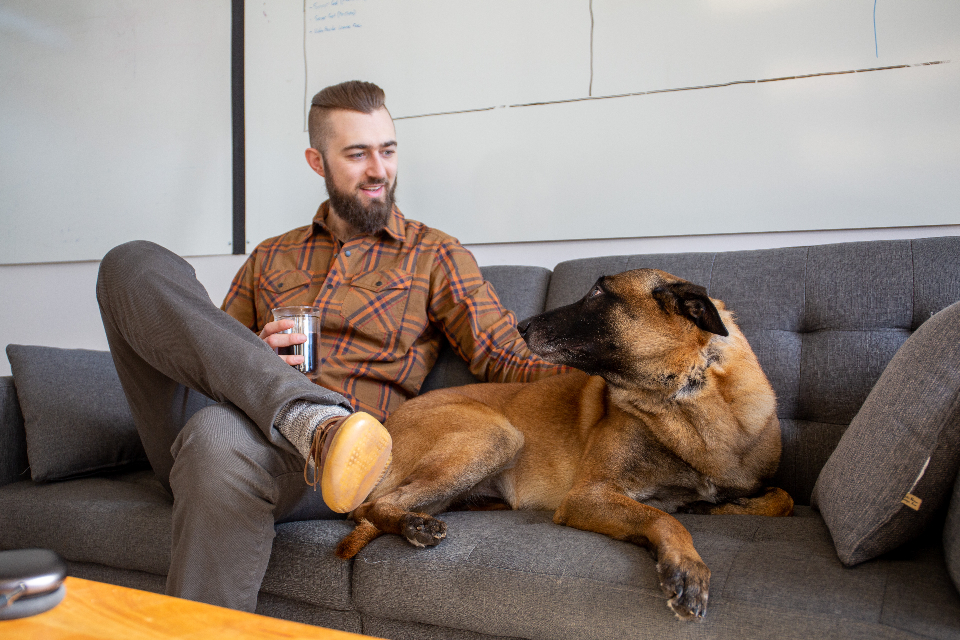 Bearded man petting dog on gray couch