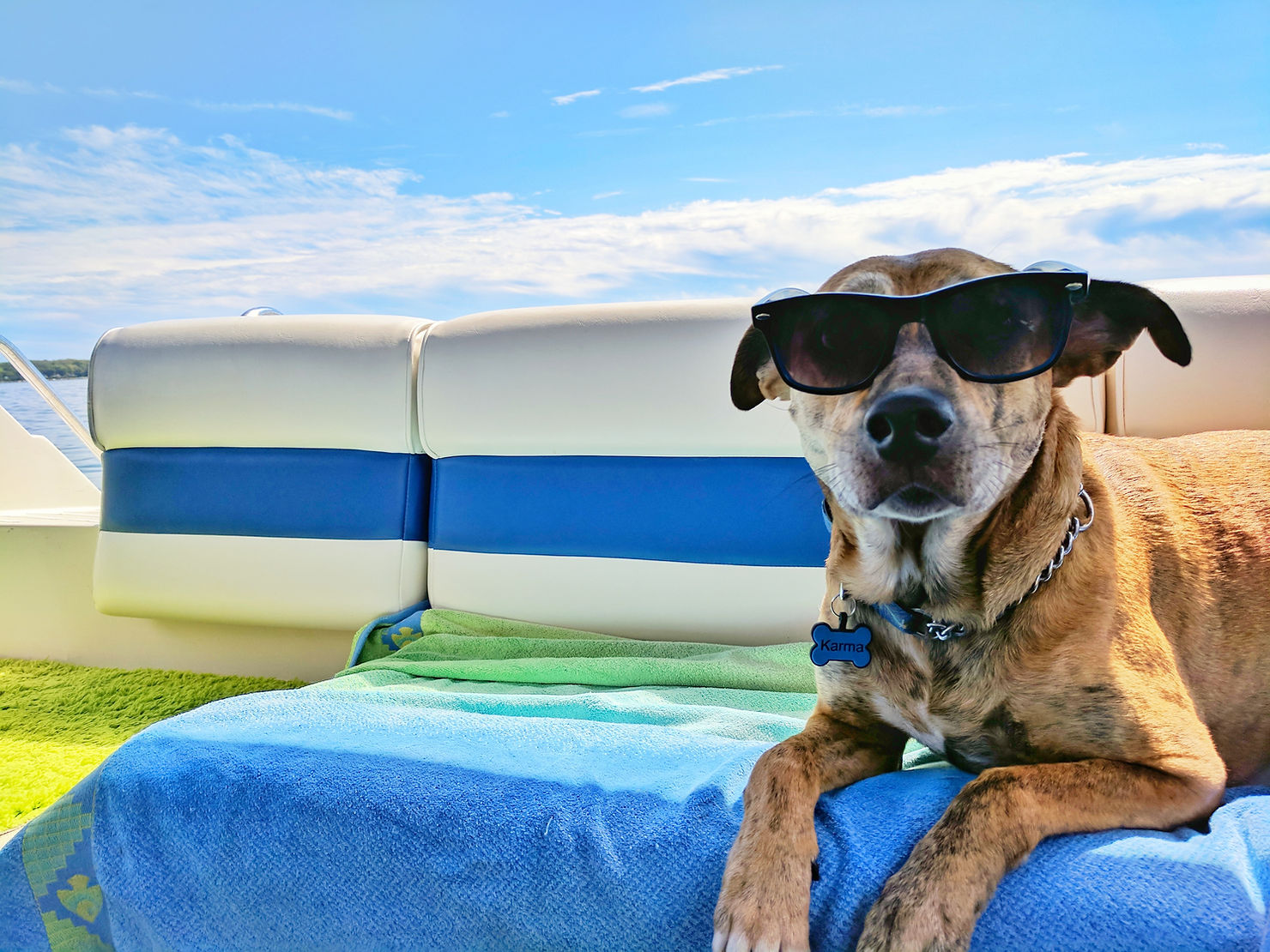 A dog wearing sunglasses and a name tag relaxing on a towel aboard a boat on a sunny day
