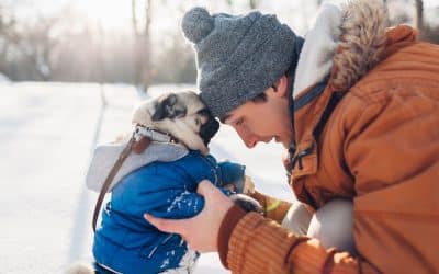 A person in a knit hat and winter coat carrying a pug in a blue jacket through the snow