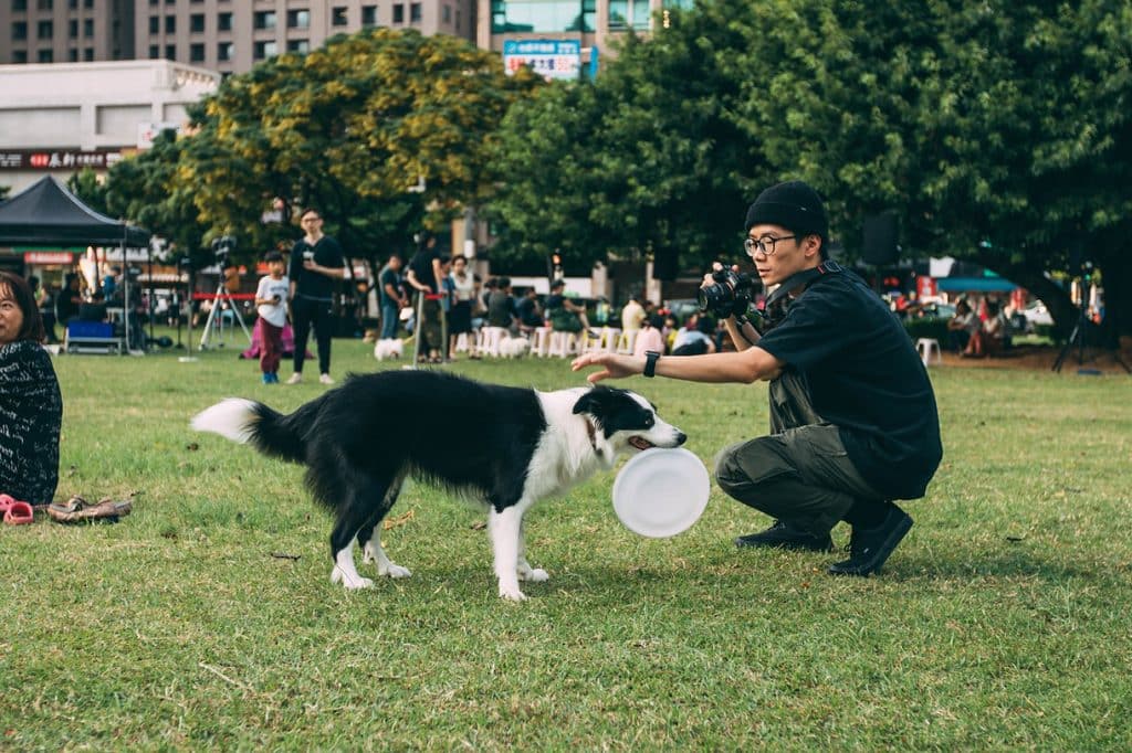 A man crouching on park grass holds out a hand as a Border Collie grips a white frisbee, with a crowd behind them