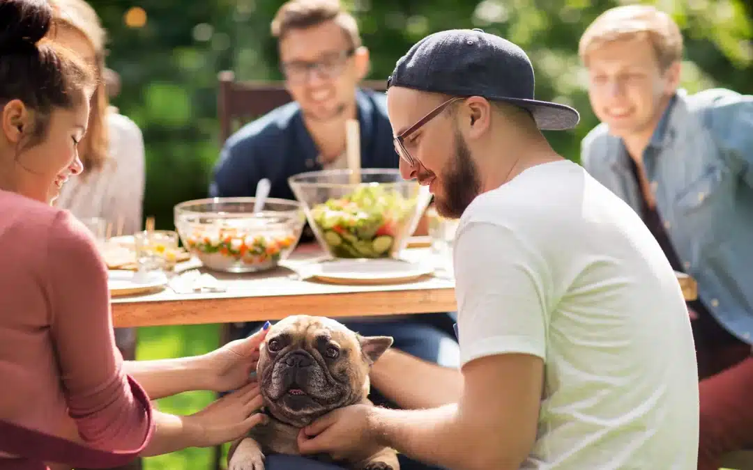 A group of friends at an outdoor picnic table pet a French Bulldog while bowls of salad sit on the table in a sunny backyard.