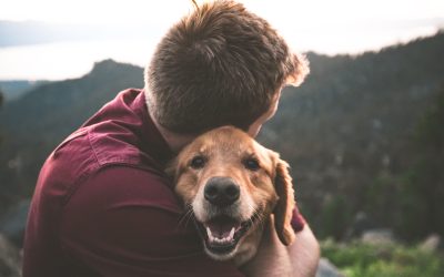 Man hugging golden retriever on mountain