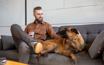 Does Your Dog Duck When Someone Pats His Head?