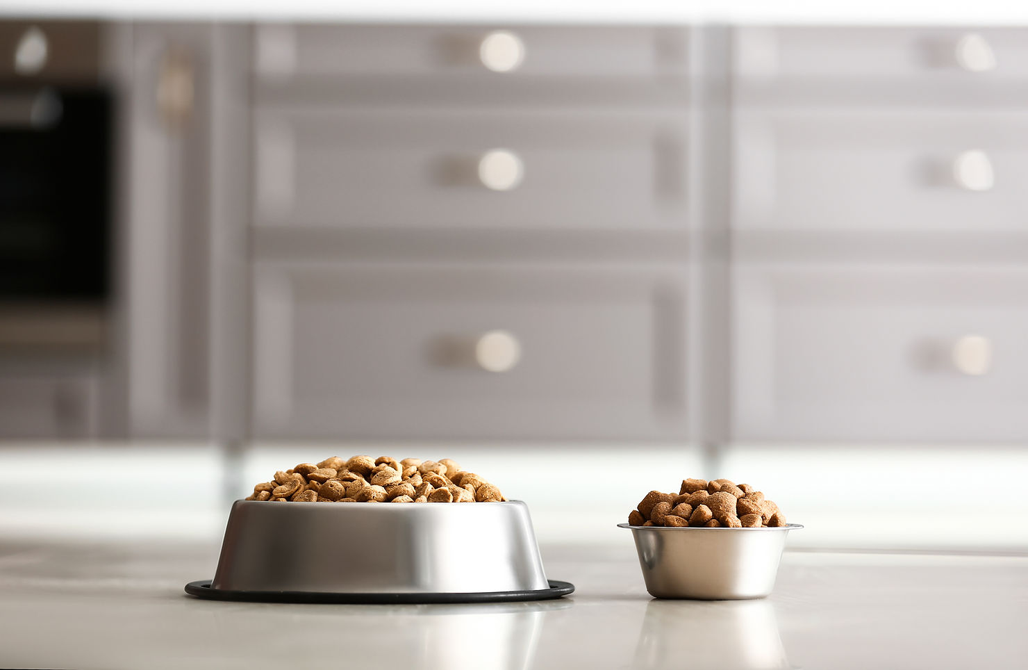 Two stainless steel bowls holding very different amounts of dry kibble on a kitchen counter