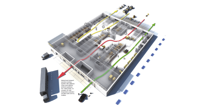 Cutaway diagram of an airport cargo terminal tracing the routing of animal shipments through numbered handling zones.