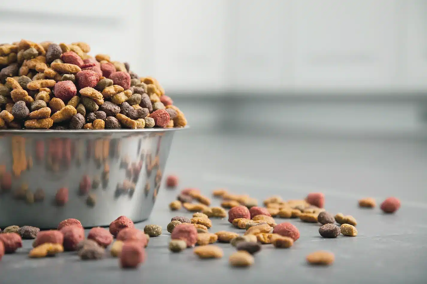 Close-up of a stainless steel bowl overflowing with multicolored dry kibble, with extra pieces scattered on the gray countertop beside it.
