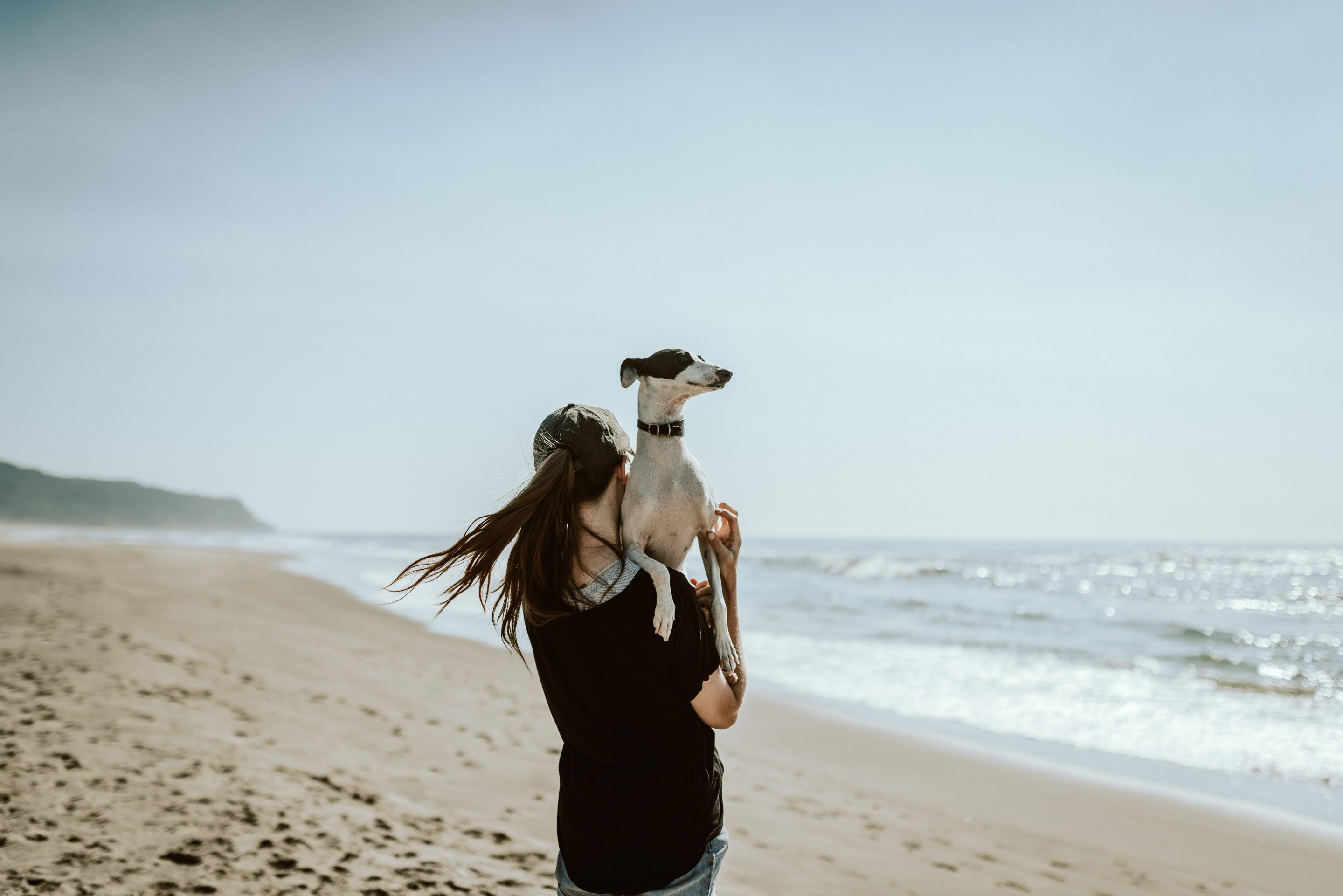Woman holding italian greyhound on beach