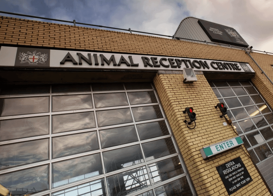 international pet shipping - The Heathrow Animal Reception Centre