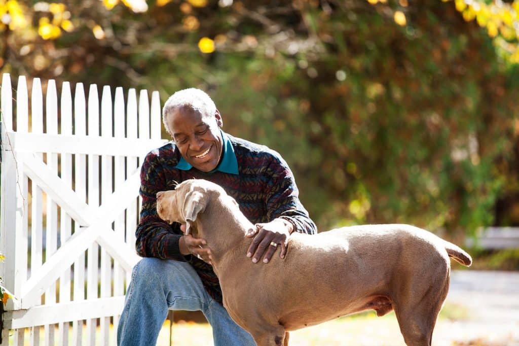 Smiling older man crouching to embrace a brown dog beside a white picket fence in autumn