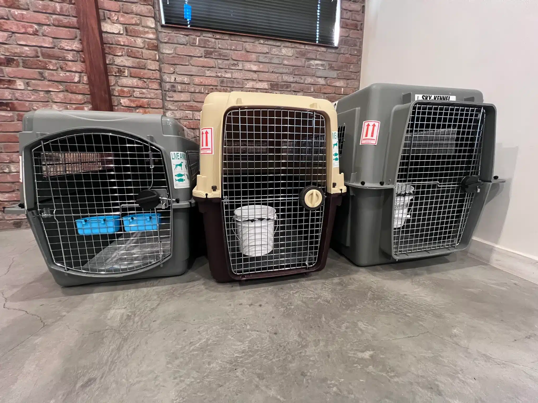 Front view of three different airline travel crates side by side — a gray crate with a ‘LIVE ANIMALS’ decal, a tan crate with a water bucket mounted on its wire door, and a gray Sky-Kennel crate — against a brick wall.