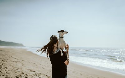 Woman holding italian greyhound on beach