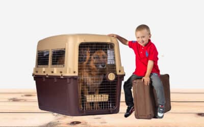 magnum crate with kid and German Shepards