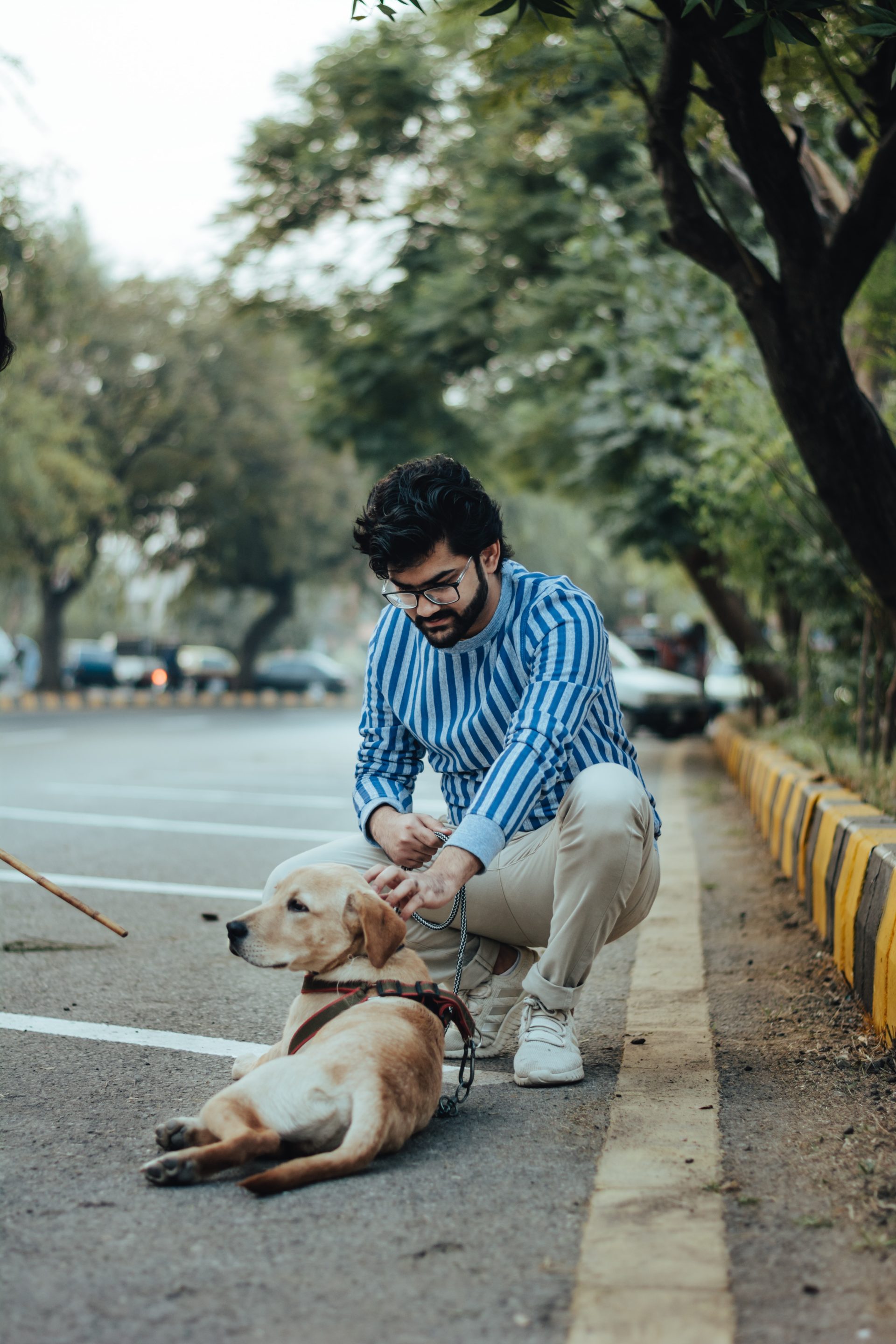 A man in a striped shirt crouching beside a golden dog lying on a city street
