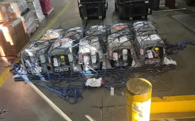 pet-cargo-shipment-warehouse