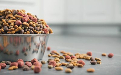 Close-up of colorful dry kibble pieces piled in a steel bowl with more scattered across the counter
